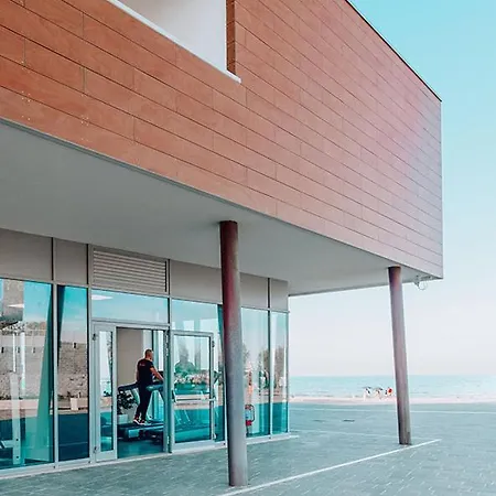 Dune By The Sea